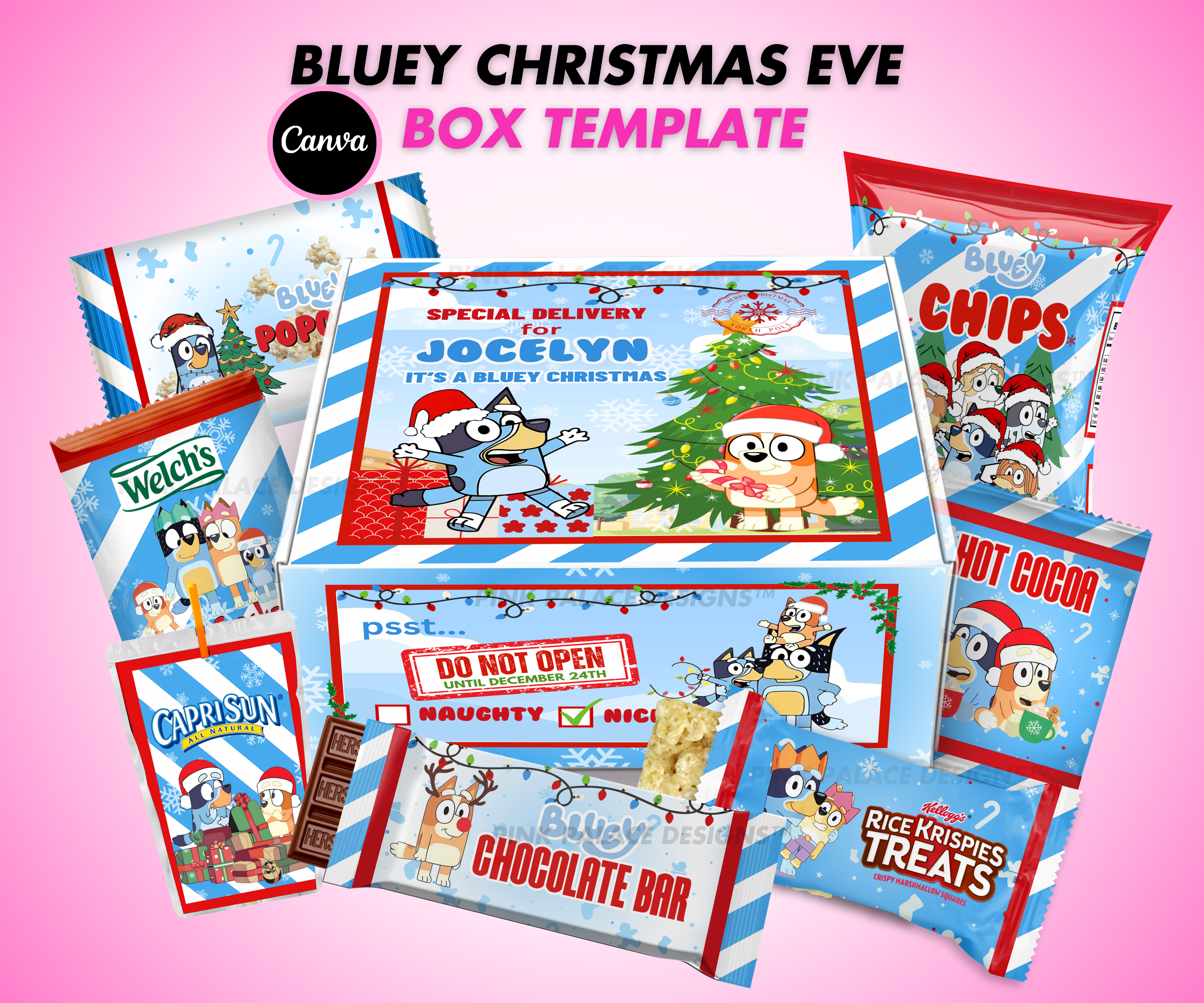 Bluey Christmas Eve Box